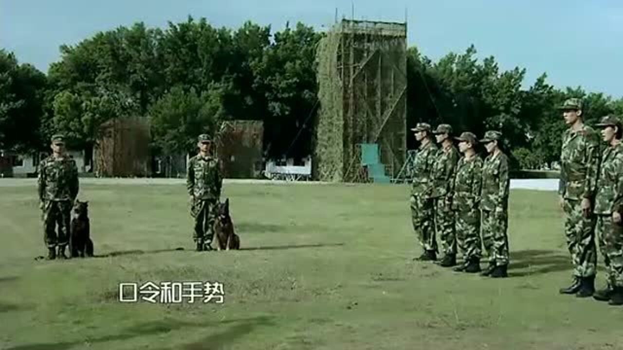 奇兵神犬姜潮老实过头当着质疑教官的话杨烁都听不下去了