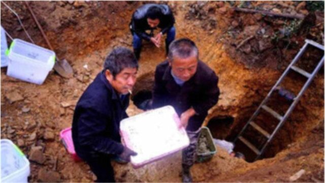 60岁老农挖地窖挖出“钱库”,吓得赶紧上报国家,结果挖出钱库!