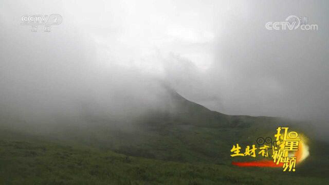 航拍福建嵛山岛“海上天湖”,云卷云舒,美得让人窒息