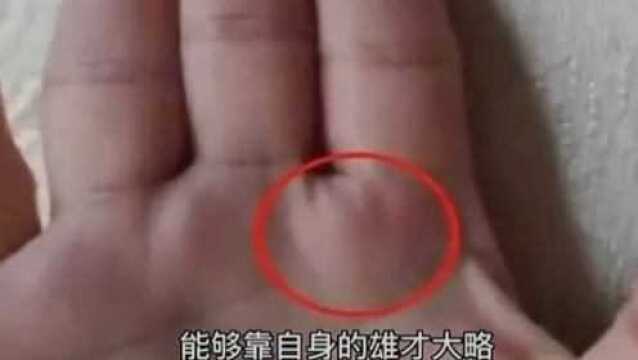 手相:一生容易发财的手相纹,手握钱财福禄不断,看看有你吗?