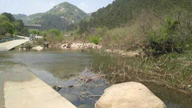 带你看看家乡的春天,山水之间的盘山小道,绿水青山