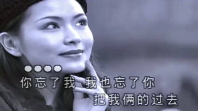 罗时丰《我没有骗你》,精选港台情歌,珍藏MTV版