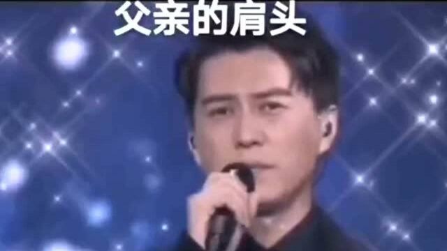 靳东一首父亲的肩头,唱哭所有人!