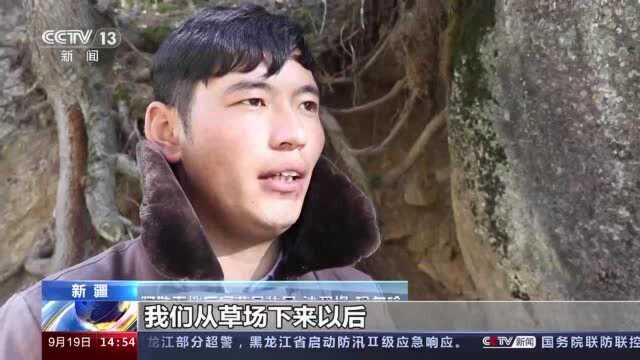 新疆阿勒泰地区秋季转场开始“转场护牧队”保驾护航