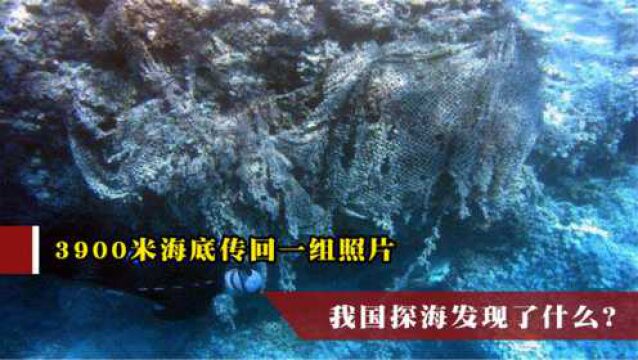 我国当年探海发现了什么?3900米深处传回一组照片,海底真相被曝光