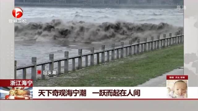 浙江海宁:天下奇观海宁潮 一跃而起在人间