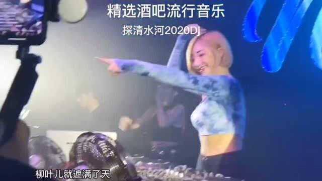 探清水河2020dj