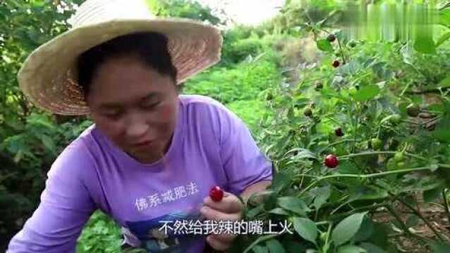 胖妹去芝麻地溜达一圈,回来做猪油拌饭,香气四溢!