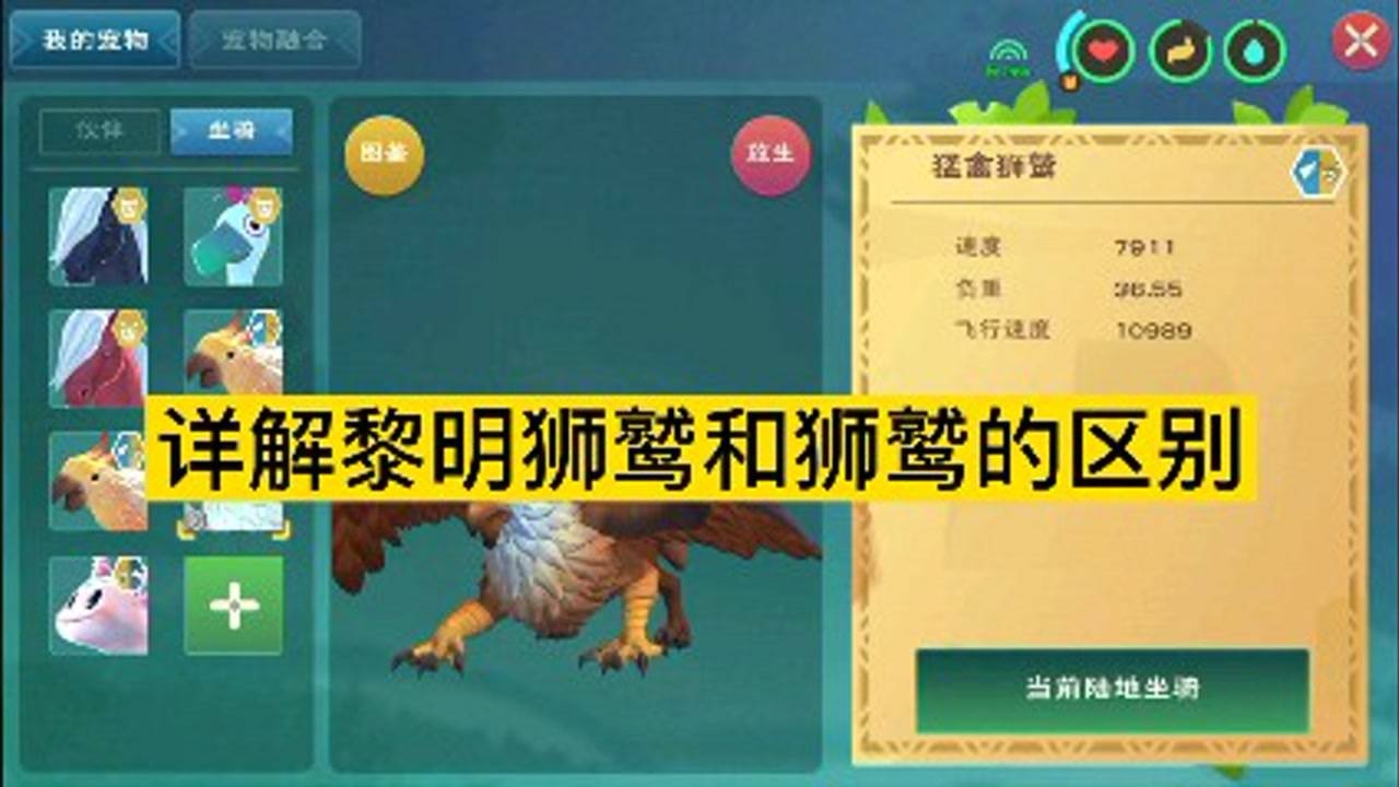 创造与魔法黎明狮鹫性价比不如普通狮鹫你了解