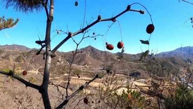 自驾游路过一座山,顶着大风爬到山顶,山不高景色非常美免费参观