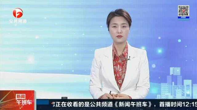 合肥:为保婚姻贷款买子 卖家竟是亲生父母