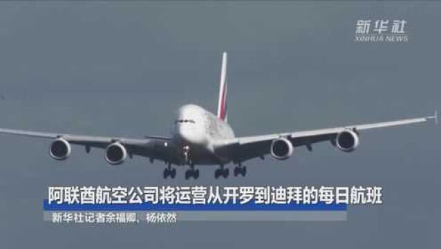 阿联酋航空公司将运营从开罗到迪拜的每日航班