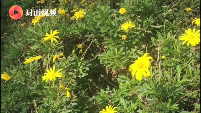 10月全国城市空气质量排名出炉 四川内江位列第五