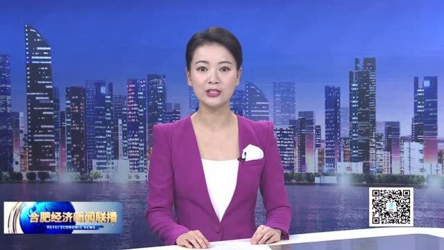 合肥市2020年质量品牌故事大赛初赛举行