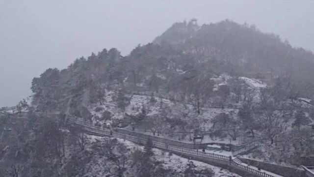 泰山下雪啦!山顶白茫茫一片 游客喜赞好兆头