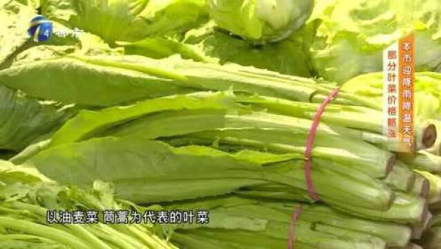 天津迎降雨降温天气,菜市场人流量降低,部分叶菜价格如何?