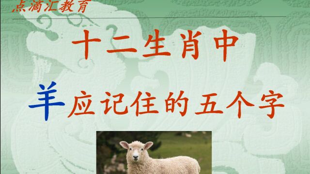 十二生肖中,羊应该重视的五个字,好运势