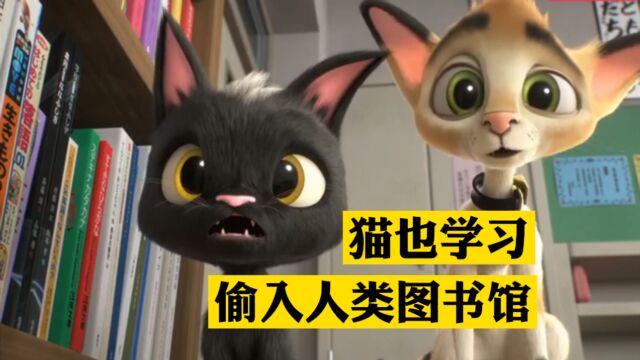 动画 三只猫为了看书进图书馆 下一秒飞到非洲大草原 学习 二次元卡通