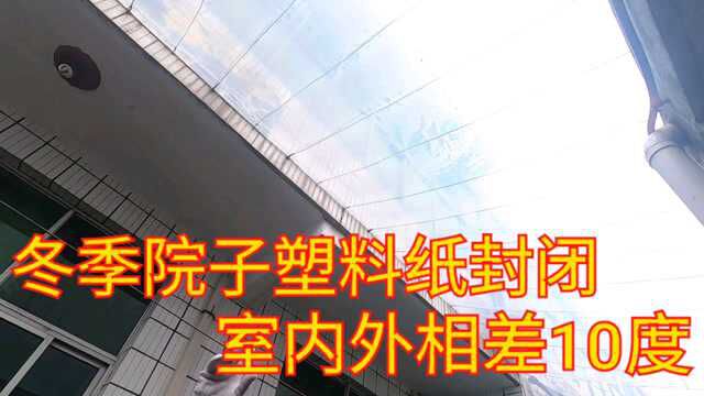 河南农家小院是这样过冬的,一层塑料纸做保温,门里门外相差10度