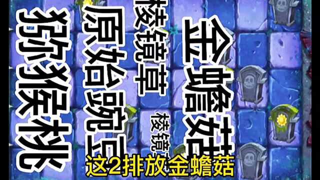 Pvz详解:黑暗无尽攻略,阵容最佳搭配!