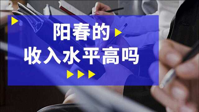 阳春街头采访之阳春的收入水平高吗?小哥哥说奶茶都喝不起了!