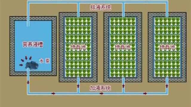 水培生菜技术中的核心,营养循环系统,该如何进行建造与使用?