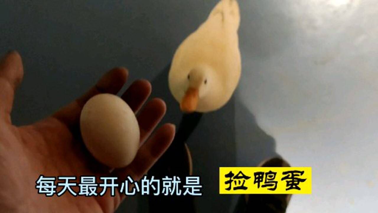 1280