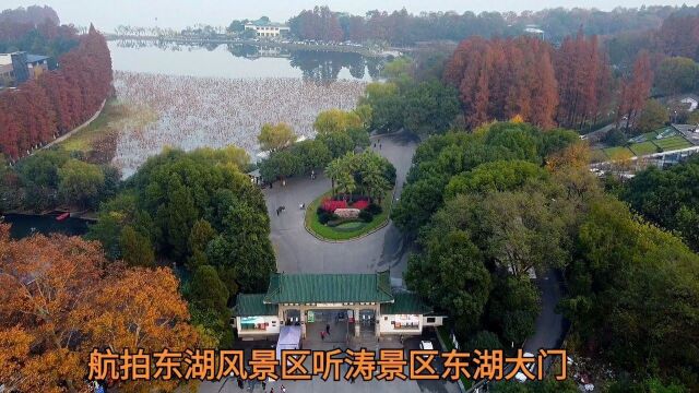 航拍东湖大门# 武汉东湖风景区听涛景区东湖大门,是东湖最早最老的大门.@中国武汉东湖