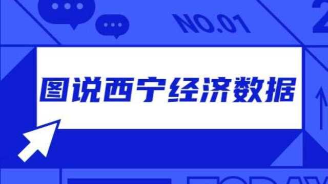 西宁市限额以上批发业销售逆势增长 销售额增速居全省第一