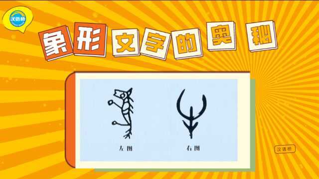 【汉语桥】长知识|一起解锁象形文字的奥秘