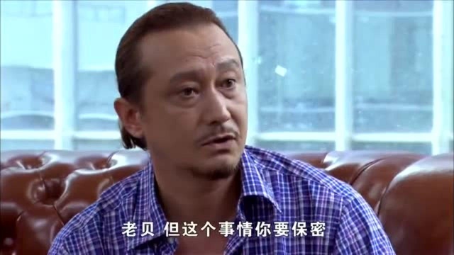 刘总为什么这样做,他有什么阴谋