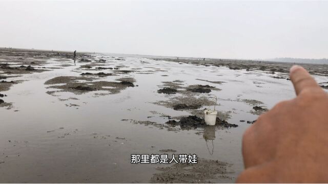 实拍海边渔民沙滩挖沙虫