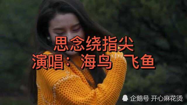 经典情歌《思念绕指尖》,不要问爱何时会相遇,尚若在最初梦的那里