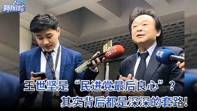 王世坚是“民进党最后良心”?其实背后都是深深的套路