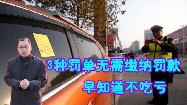 交警提醒:这3种罚单不需要交罚款,直接撕了也没事,早知早好