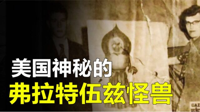 美国“弗拉特伍兹怪兽”事件,究竟怎么回事?与外星文明有关吗?