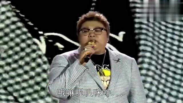 韩红演唱《家乡》,一如既往的稳和好听,不愧是歌唱家