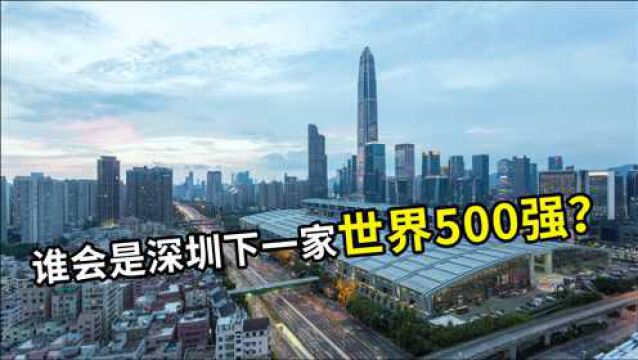 谁将会成为深圳下一家世界500强企业,顺丰还是比亚迪?