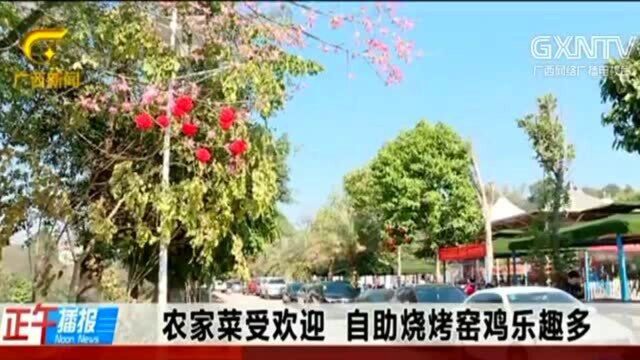 广西南宁:特色过元旦,香飘农家院, 游客采摘忙