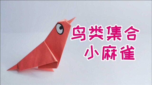 「折纸教程」鸟类 小麻雀折纸