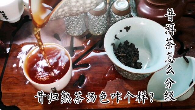 普洱茶怎么分等级 一共有多少级 四川第一场雪喝一泡好茶庆祝