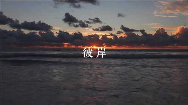 钢琴曲《彼岸》安静舒缓,放松身心