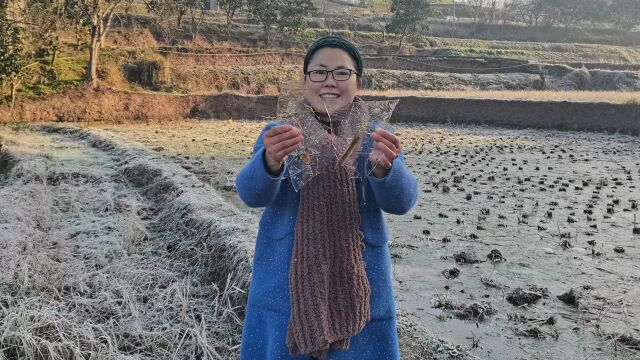 重庆梁平降大霜,犹如下大雪,到处白茫芒