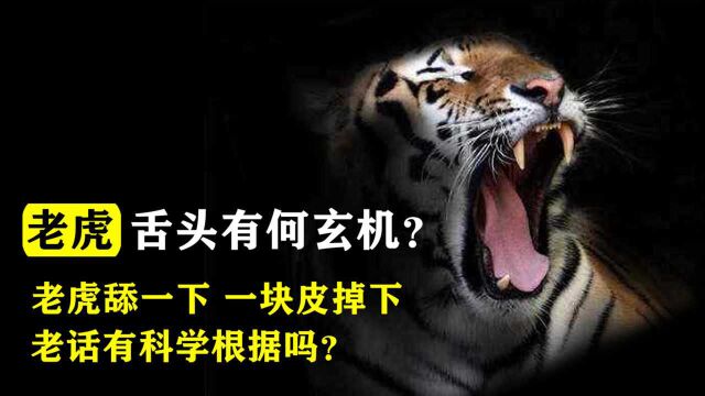 为什么老一辈人曾说,“老虎舔一下,一块皮掉下”?原来真是这样