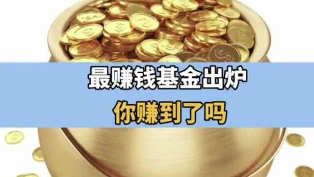 最赚钱基金出炉 你赚到了吗?