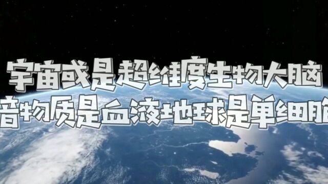 宇宙或是个超维度的生物大脑,地球是单细胞、人类是...