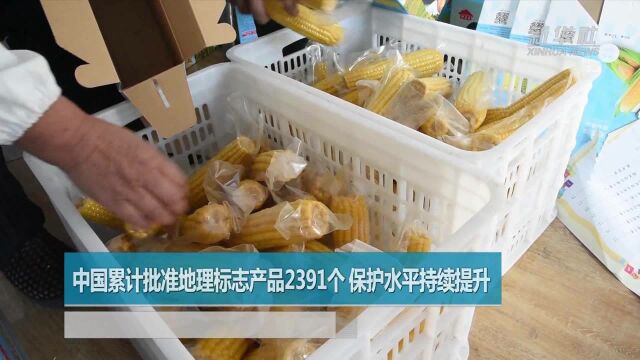 中国累计批准地理标志产品2391个 保护水平持续提升