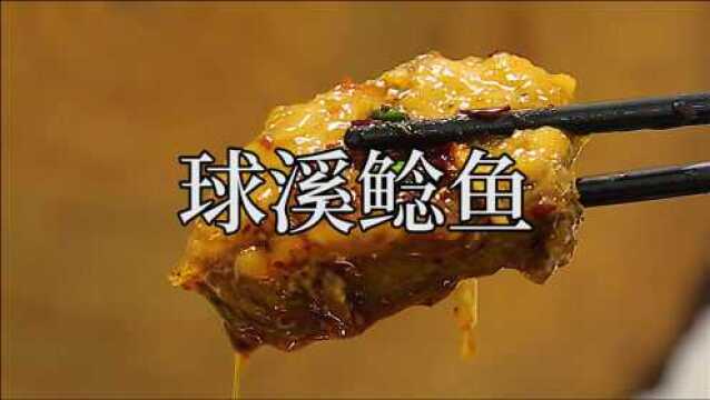 球溪鲶鱼—川菜系最著名的美食名片之一.