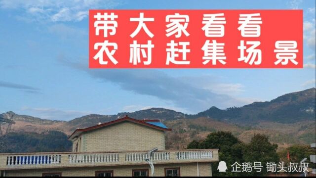 乡村vlog每逢一号六号圩日赶集,带大家看看农村赶集场景