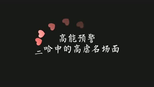 二哈和他的白猫师尊 “墨燃怎么也想不到,这一生死的人会是楚晚宁“